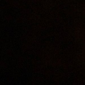 Meet your Posher, Lazaro